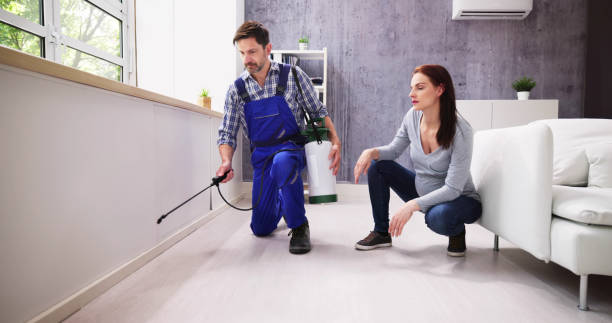 Best Pest Prevention Services  in Temesl Valley, CA